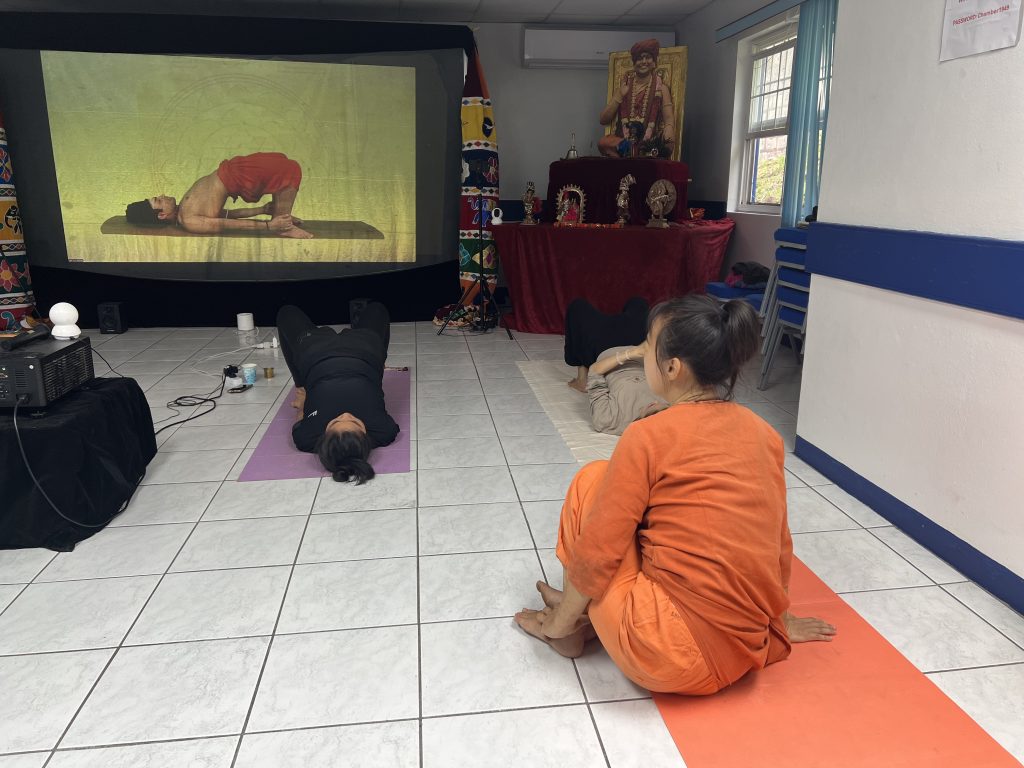 IMG_2241